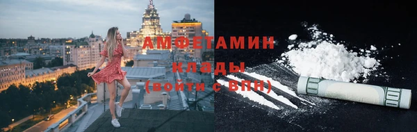 ПСИЛОЦИБИНОВЫЕ ГРИБЫ Гусь-Хрустальный