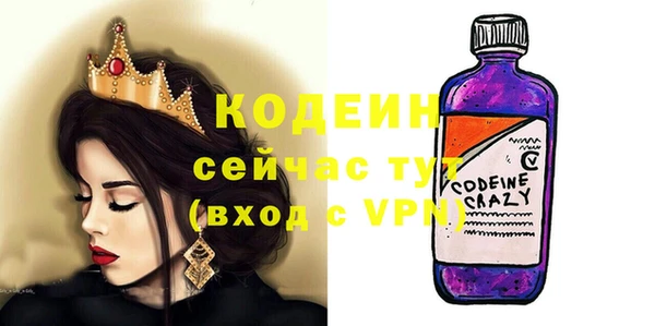 ПСИЛОЦИБИНОВЫЕ ГРИБЫ Гусь-Хрустальный