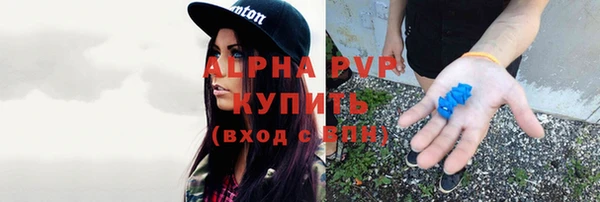 ПСИЛОЦИБИНОВЫЕ ГРИБЫ Гусь-Хрустальный