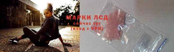 ПСИЛОЦИБИНОВЫЕ ГРИБЫ Гусь-Хрустальный