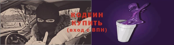 ПСИЛОЦИБИНОВЫЕ ГРИБЫ Гусь-Хрустальный