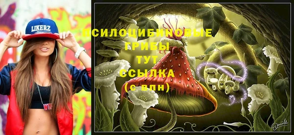 ПСИЛОЦИБИНОВЫЕ ГРИБЫ Гусь-Хрустальный