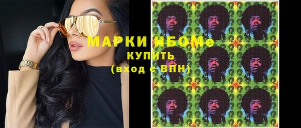 ПСИЛОЦИБИНОВЫЕ ГРИБЫ Гусь-Хрустальный