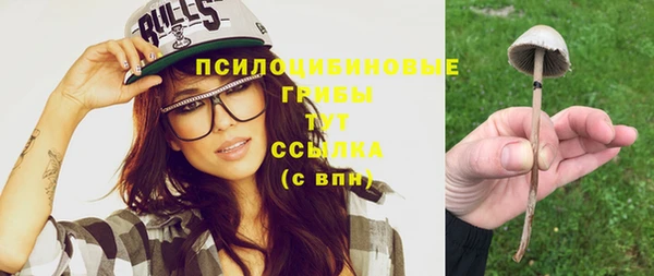 ПСИЛОЦИБИНОВЫЕ ГРИБЫ Гусь-Хрустальный