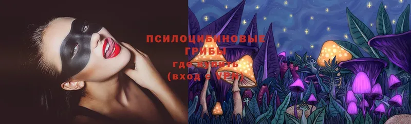 Галлюциногенные грибы Psilocybine cubensis  Егорьевск 