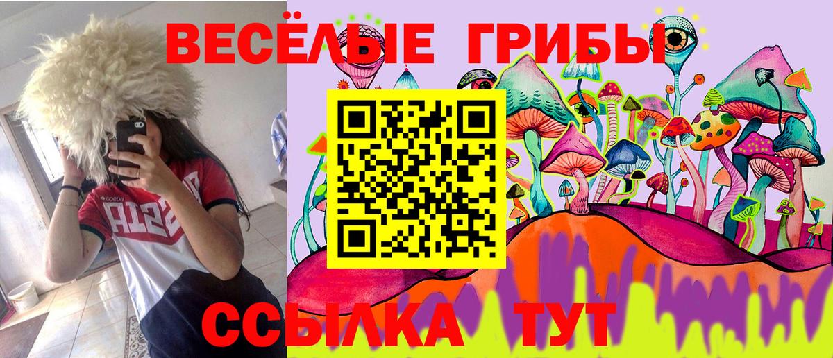 Псилоцибиновые грибы мицелий Егорьевск