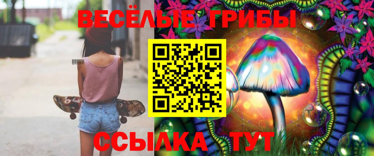 Егорьевск  Псилоцибиновые грибы Psilocybe  Вход с VPN 